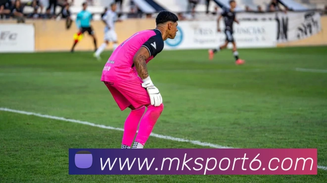 MK体育平台生态图